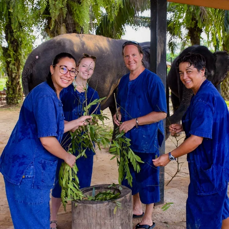 Krabi Tour Walking with Elephants Make Herbal Medicine-5