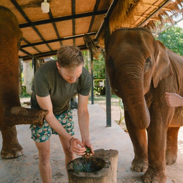 Krabi Tour Walking with Elephants Make Herbal Medicine