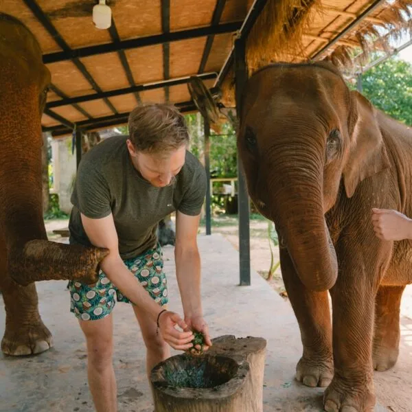 Krabi Tour Walking with Elephants Make Herbal Medicine