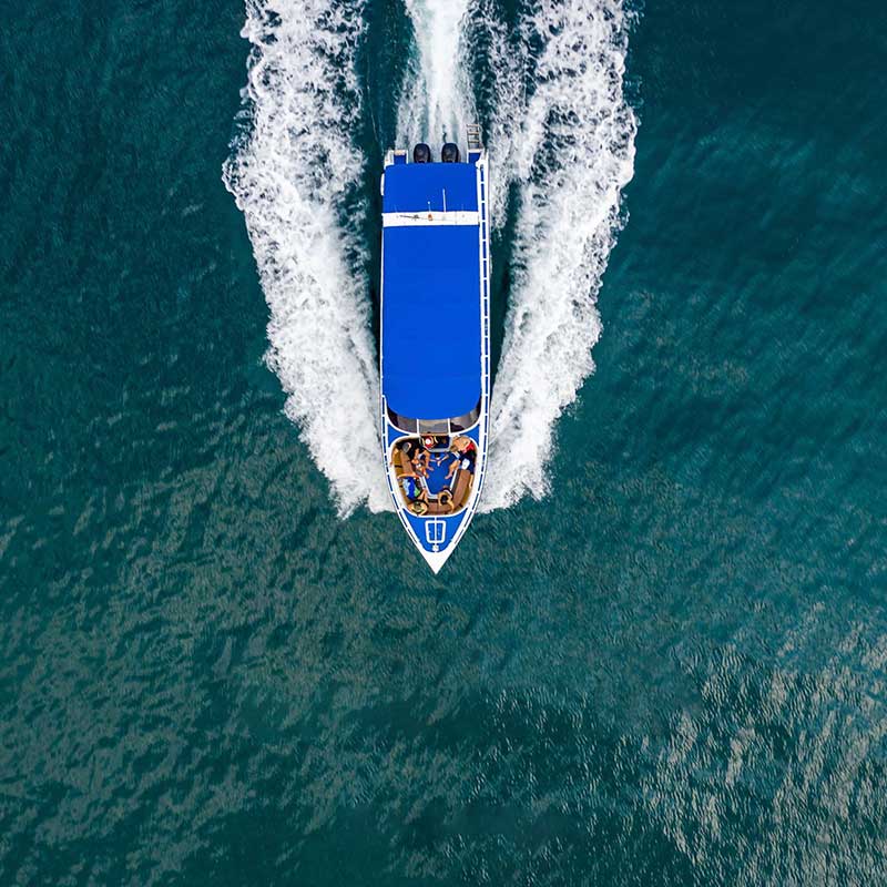 Koh-Samui-Private-Speedboat-Dolphin-Pig-Island-4 Koh-Samui-Private-Speedboat-Dolphin-Pig-Island-4
