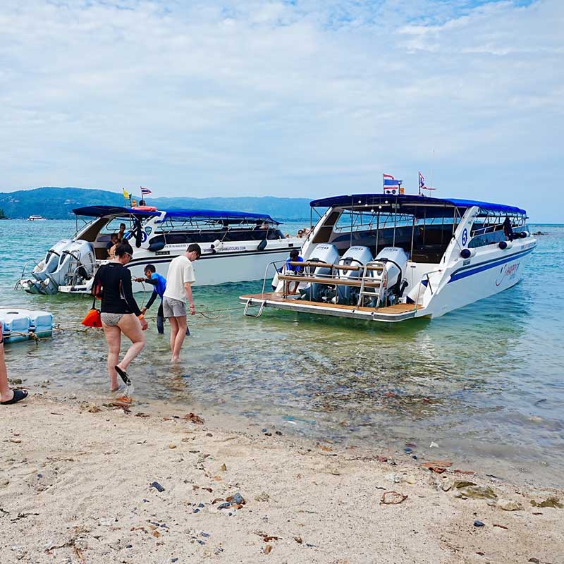 Koh-Samui-Private-Speedboat-Sightseeing-Dolphin-Pig-Island-5 Koh-Samui-Private-Speedboat-Sightseeing-Dolphin-Pig-Island-5