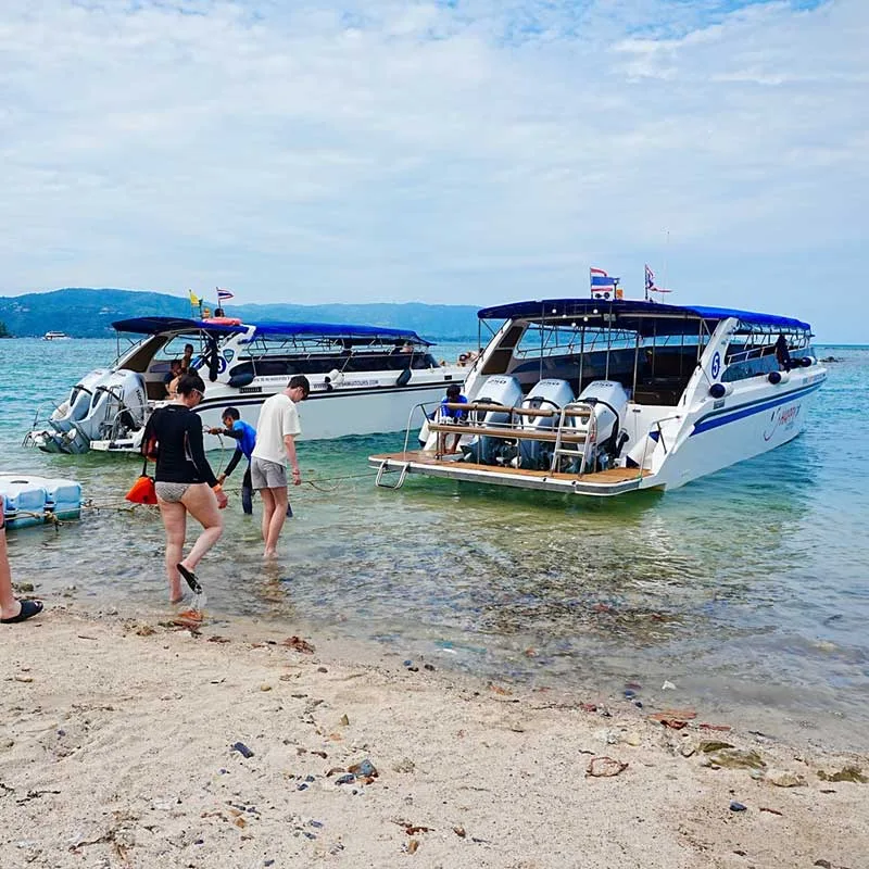 Koh-Samui-Private-Speedboat-Sightseeing-Dolphin-Pig-Island-5
